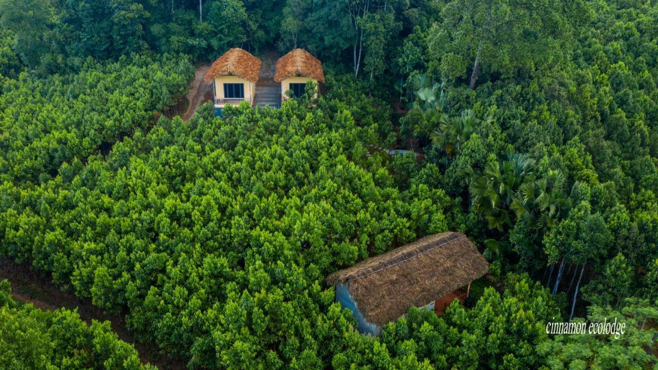 Cinnamon Eco Lodge Nam Hoac Exterior foto